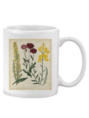 Small Garden Display Iii Mug -Sydenham Edwards Designs