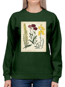 Small Garden Display Iii Sweatshirt -Sydenham Edwards Designs