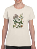 Enchanted Garden Ii T-shirt -Sydenham Edwards Designs