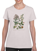 Enchanted Garden Ii T-shirt -Sydenham Edwards Designs