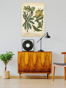 Enchanted Garden. Iii Wall Art -Sydenham Edwards Designs