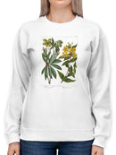 Enchanted Garden 3. Sweatshirt -Sydenham Edwards Designs
