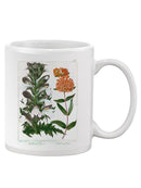 Enchanted Garden 4. Mug -Sydenham Edwards Designs