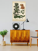 Enchanted Garden. Iv Wall Art -Sydenham Edwards Designs