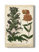 Enchanted Garden. Iv Wall Art -Sydenham Edwards Designs