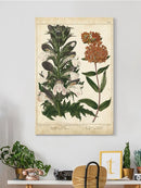 Enchanted Garden. Iv Wall Art -Sydenham Edwards Designs