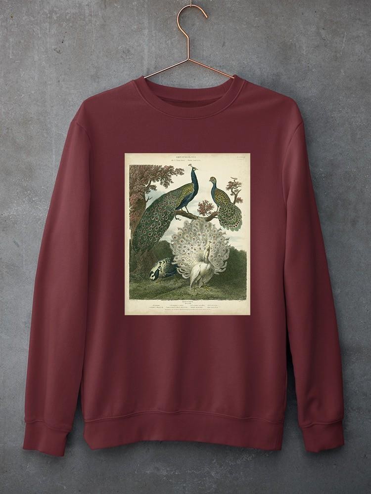 Peacock Gathering Sweatshirt -Sydenham Edwards Designs