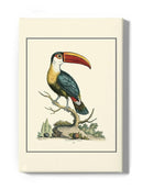 The Bill Bird Wall Art -Sydenham Edwards Designs