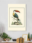 The Bill Bird Wall Art -Sydenham Edwards Designs