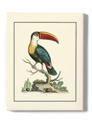 The Bill Bird Wall Art -Sydenham Edwards Designs