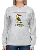 The Bill Bird Sweatshirt -Sydenham Edwards Designs