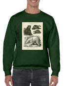 Brown Bearm. Polar Bear Sweatshirt -Sydenham Edwards Designs