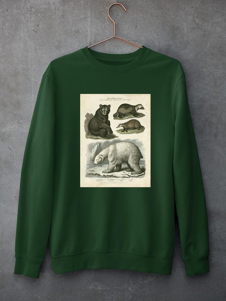 Brown Bearm. Polar Bear Sweatshirt -Sydenham Edwards Designs