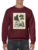 Brown Bearm. Polar Bear Sweatshirt -Sydenham Edwards Designs