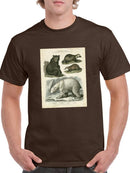 Brown Bearm. Polar Bear T-shirt Men's -Sydenham Edwards Designs