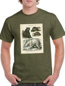 Brown Bearm. Polar Bear T-shirt Men's -Sydenham Edwards Designs