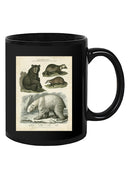 Brown Bearm. Polar Bear Mug -Sydenham Edwards Designs