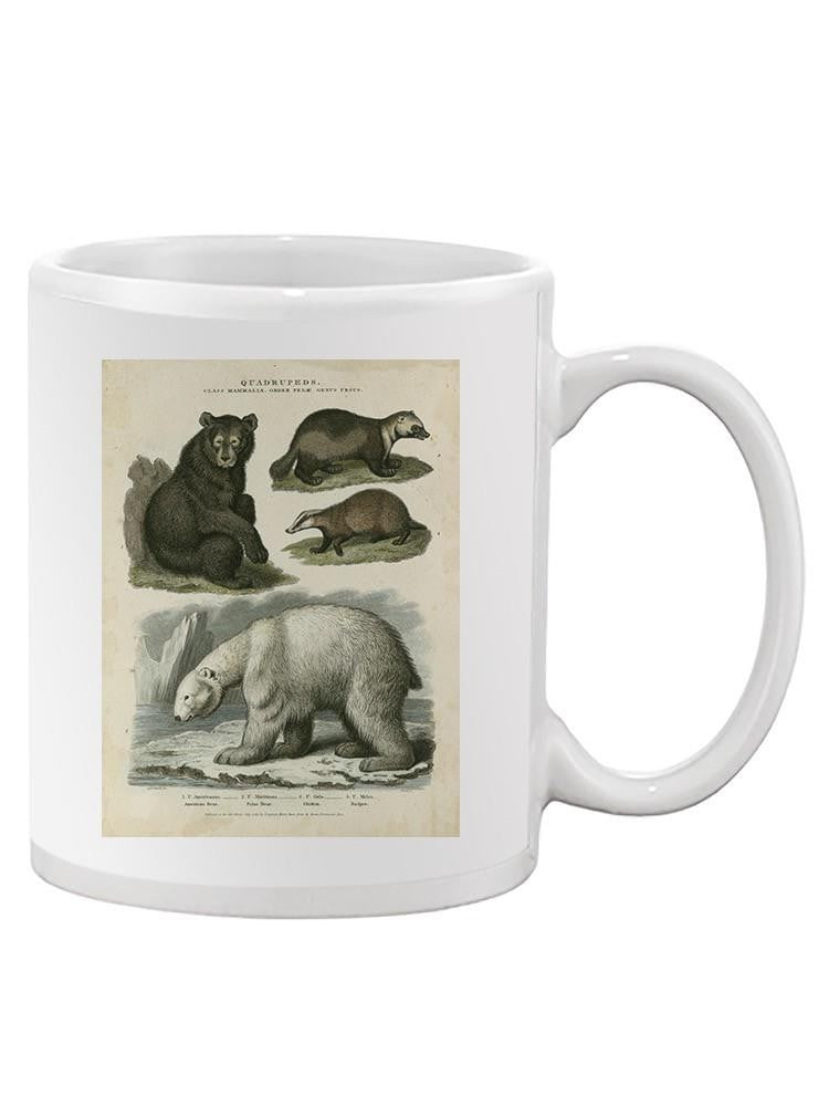 Brown Bearm. Polar Bear Mug -Sydenham Edwards Designs