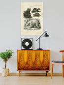 Brown Bearm. Polar Bear Wall Art -Sydenham Edwards Designs