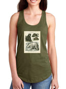 Brown Bearm. Polar Bear T-shirt -Sydenham Edwards Designs