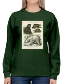 Brown Bearm. Polar Bear Sweatshirt -Sydenham Edwards Designs