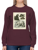 Brown Bearm. Polar Bear Sweatshirt -Sydenham Edwards Designs