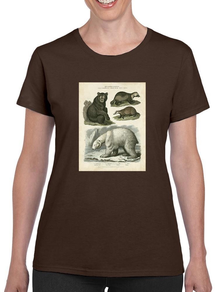 Brown Bearm. Polar Bear T-shirt -Sydenham Edwards Designs