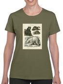 Brown Bearm. Polar Bear T-shirt -Sydenham Edwards Designs