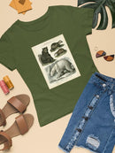 Brown Bearm. Polar Bear T-shirt -Sydenham Edwards Designs