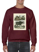 Deer And Moose Sweatshirt -Sydenham Edwards Designs