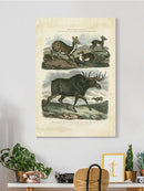 Deer And Moose Wall Art -Sydenham Edwards Designs