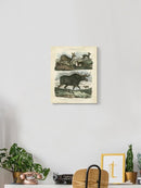 Deer And Moose Wall Art -Sydenham Edwards Designs