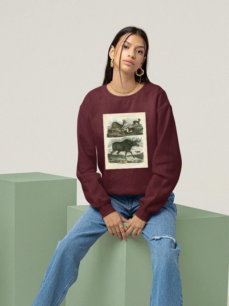 Deer And Moose Sweatshirt -Sydenham Edwards Designs