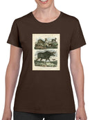 Deer And Moose T-shirt -Sydenham Edwards Designs