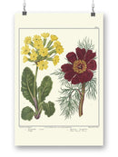 Gardeners Delight Wall Art -Sydenham Edwards Designs