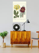 Gardeners Delight Wall Art -Sydenham Edwards Designs