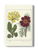 Gardeners Delight Wall Art -Sydenham Edwards Designs