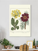 Gardeners Delight Wall Art -Sydenham Edwards Designs