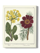 Gardeners Delight Wall Art -Sydenham Edwards Designs