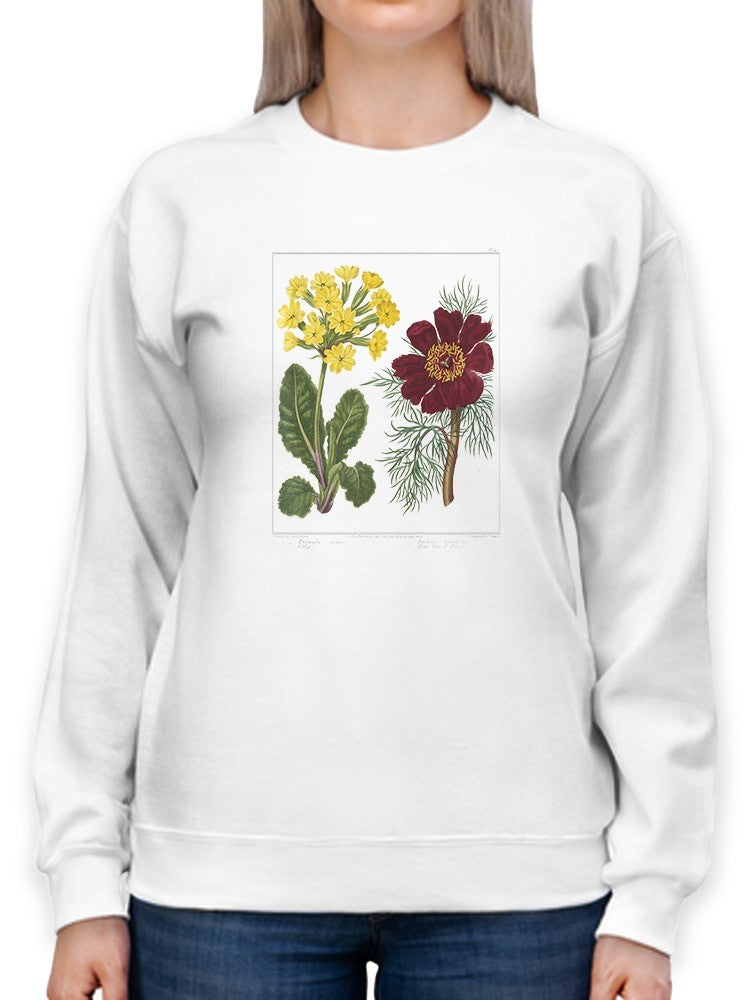 Gardeners Delight Sweatshirt -Sydenham Edwards Designs