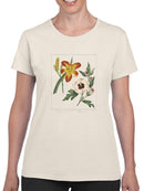 Garden Flowers Delight T-shirt -Sydenham Edwards Designs