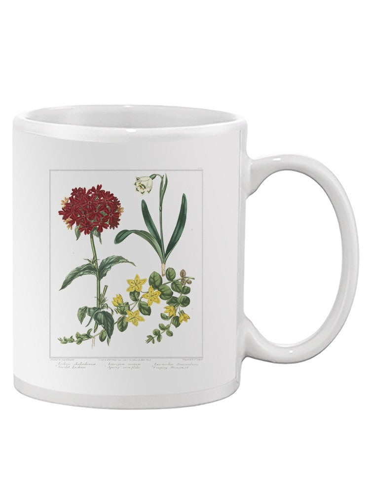 Spring Delight Mug -Sydenham Edwards Designs