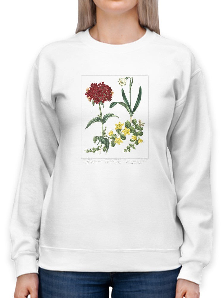 Spring Delight Sweatshirt -Sydenham Edwards Designs