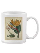 Golden Bird Of Paradise Mug -Sydenham Edwards Designs