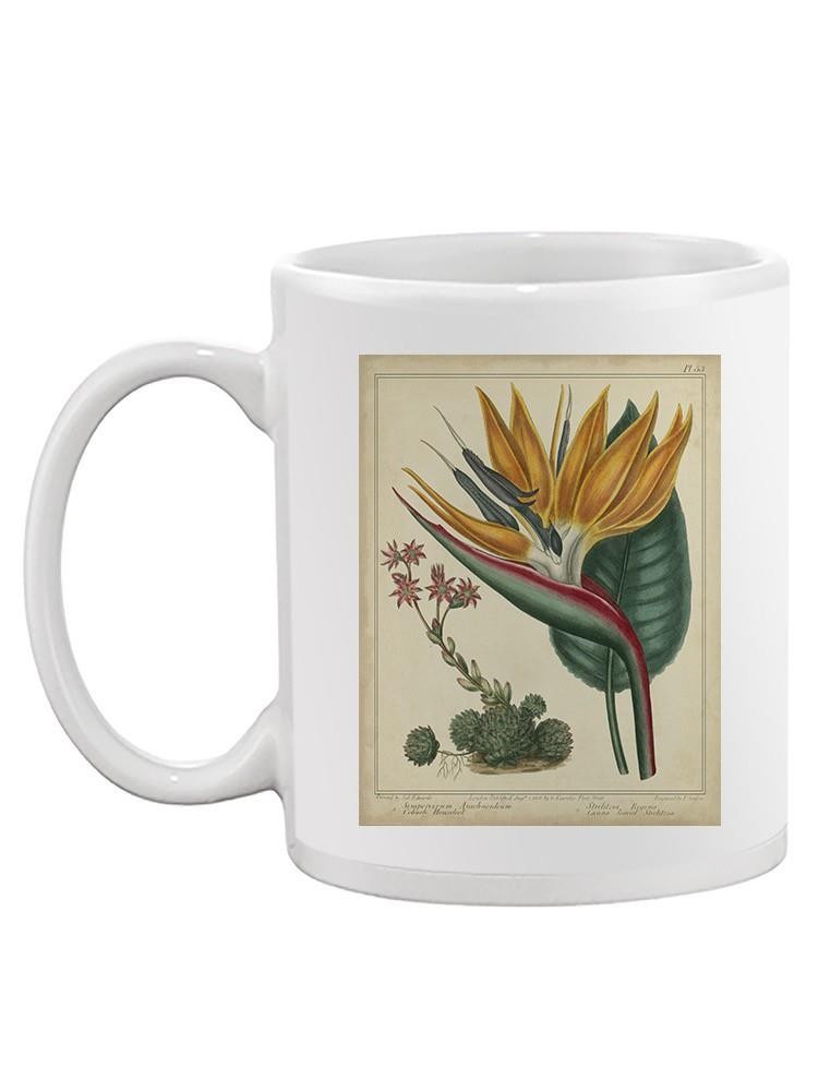 Golden Bird Of Paradise Mug -Sydenham Edwards Designs