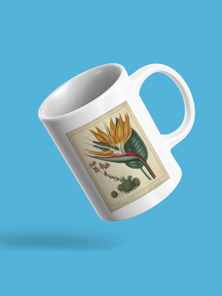 Golden Bird Of Paradise Mug -Sydenham Edwards Designs