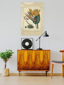 Golden Bird Of Paradise Wall Art -Sydenham Edwards Designs