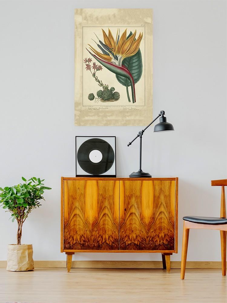 Golden Bird Of Paradise Wall Art -Sydenham Edwards Designs