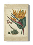 Golden Bird Of Paradise Wall Art -Sydenham Edwards Designs