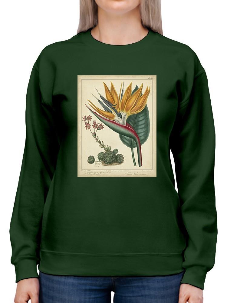 Golden Bird Of Paradise Sweatshirt -Sydenham Edwards Designs
